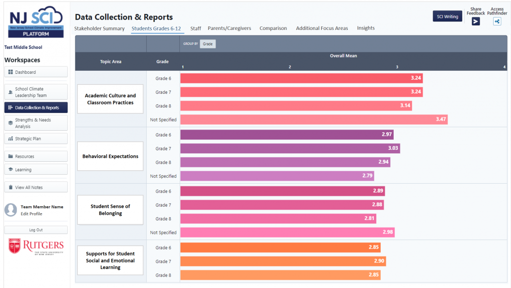 Data Report Disaggregated Item Page on NJ SCI Platform